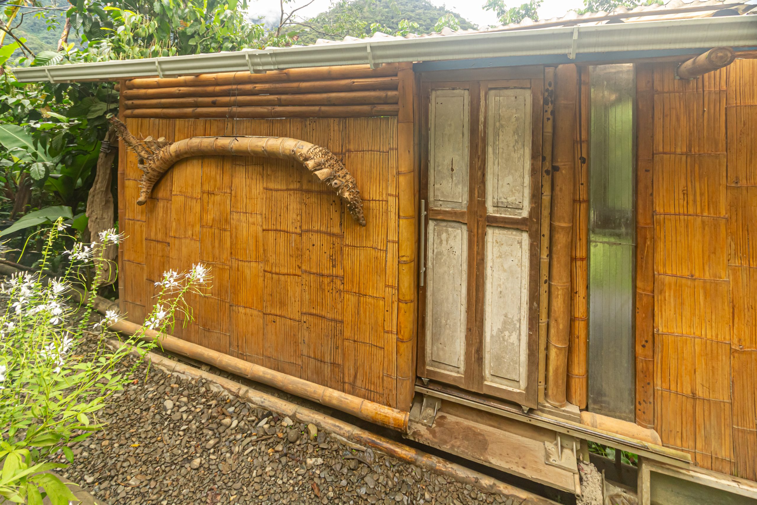 Casa Borojó - Imagen 2