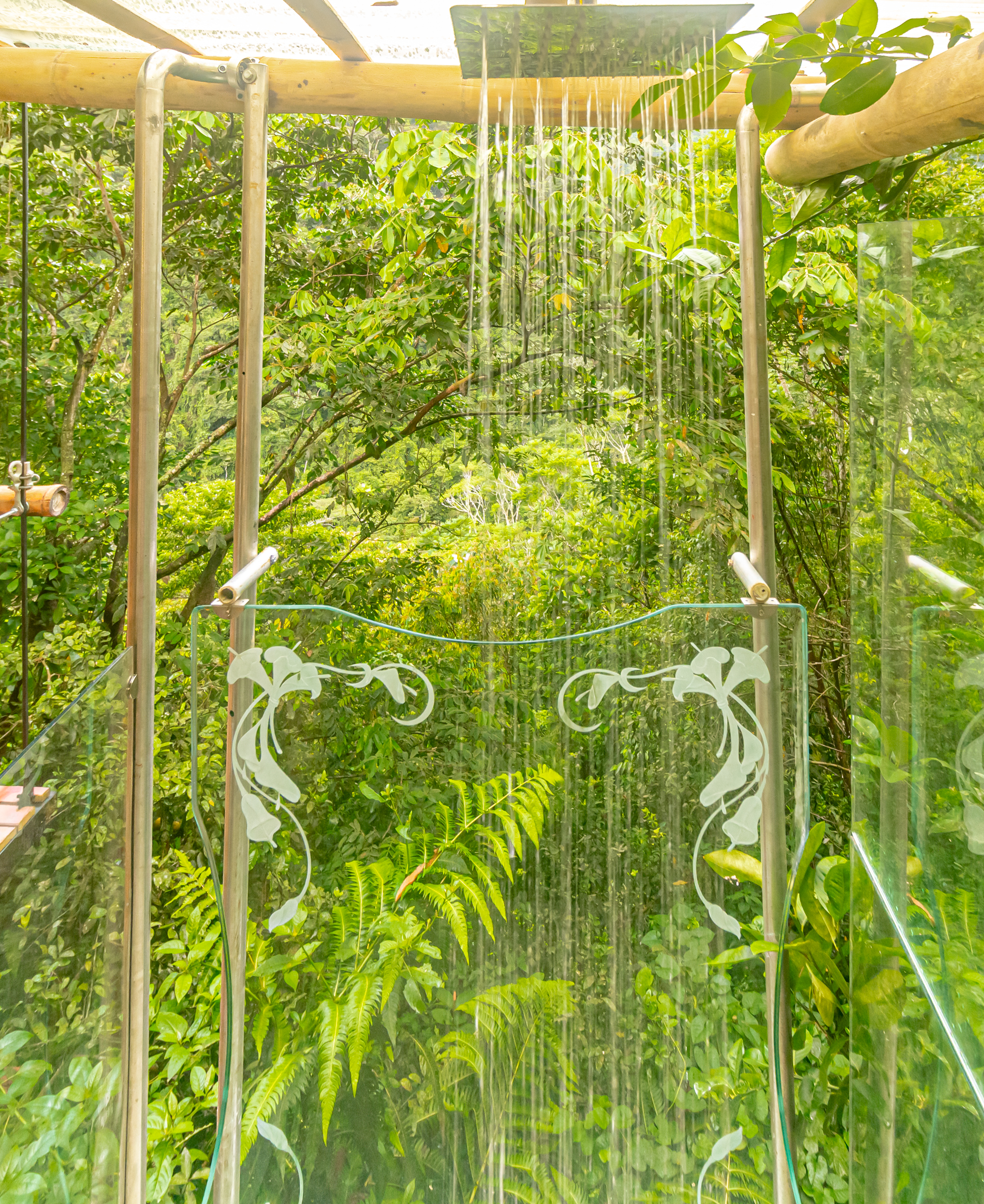 Casa Borojó - Imagen 6